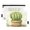 Cactus in Planter, variant on Rainbow Skull Head 2 Pack Pencil Pouch for 3 Ring Binder Smooth Zipper Folders with Pockets Clear Window Pencil Case