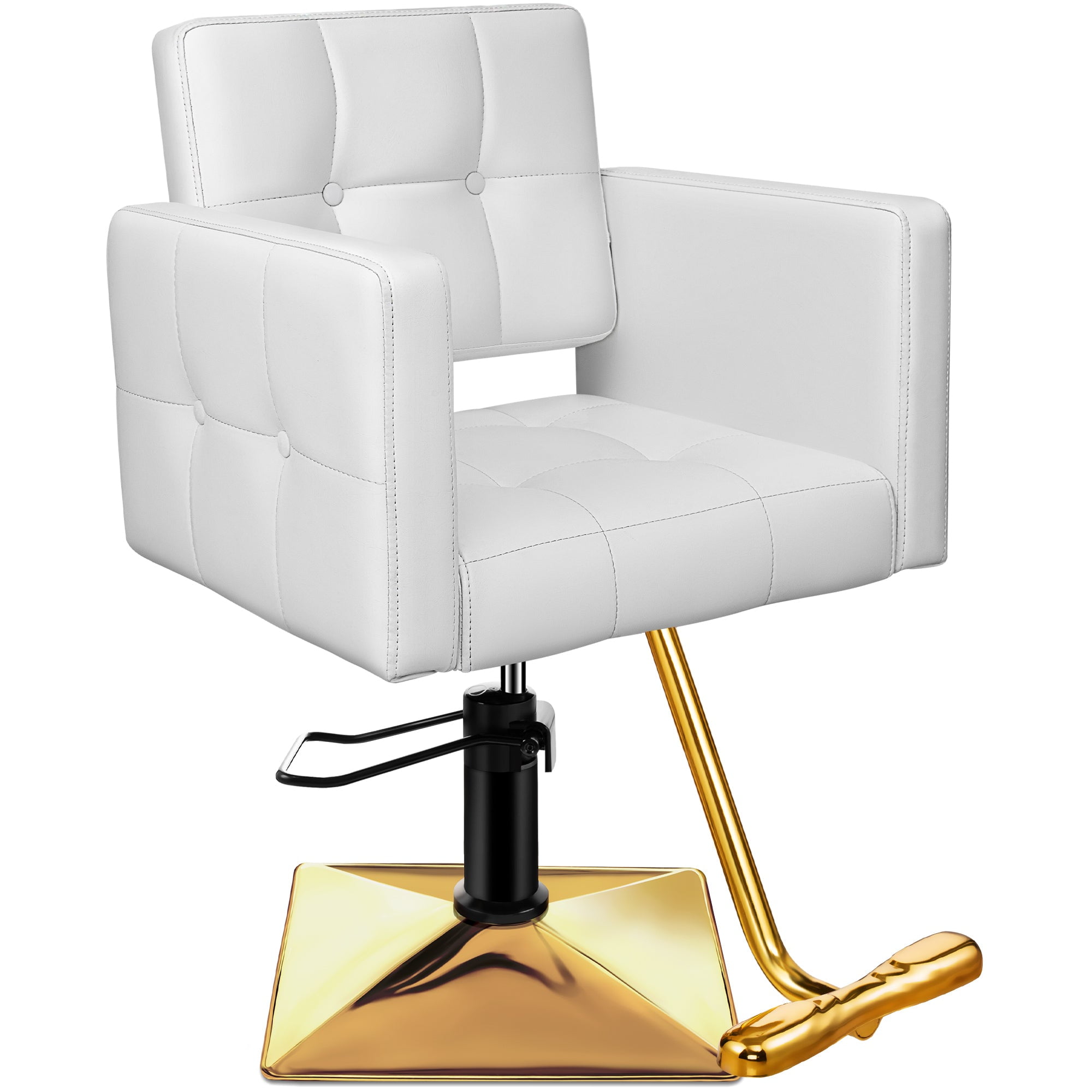 Baasha Hair Salon Chair, Gold Salon Chair with Heavy Duty Hydraulic