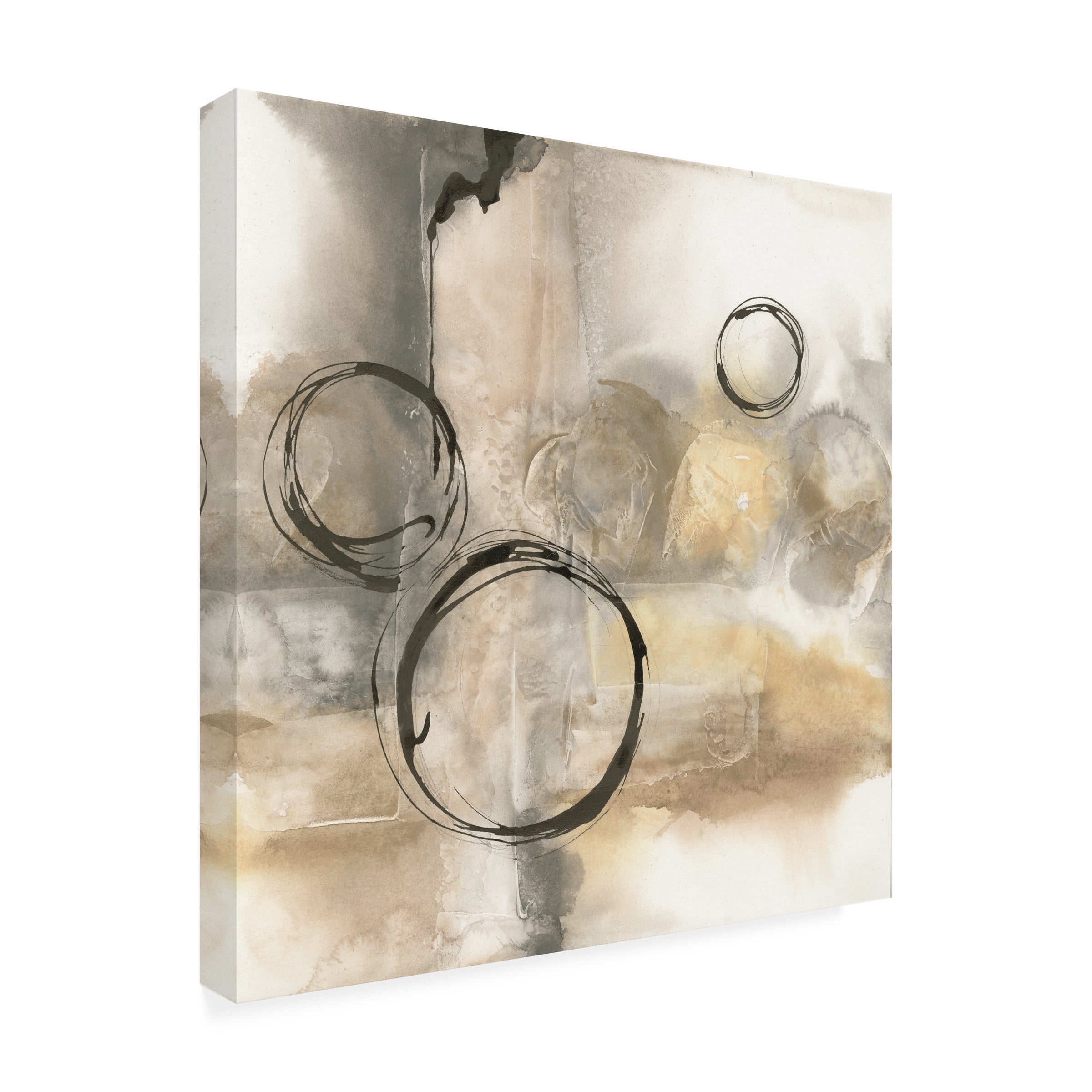 Trademark Fine Art 'Full Circle I' Canvas Art by Chris Paschke