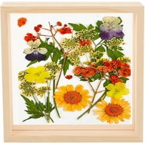 7 x 7 Floating Picture Frames Wooden Pressed Flower Frame Double Acrylic Rustic Artwork Wall and Tabletop Display Photo, Gift for Family Friends Wedding DIY Gifts