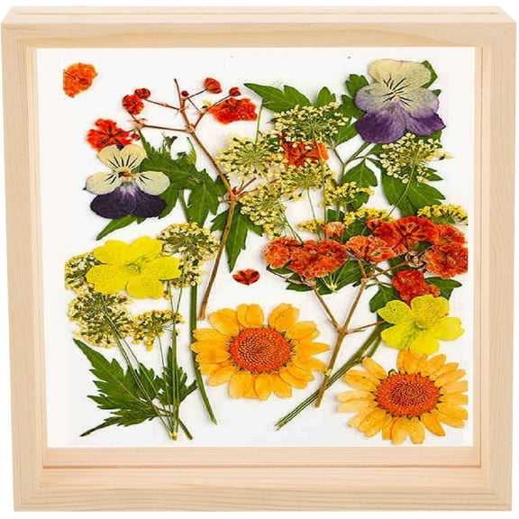 7 x 7 Floating Picture Frames Wooden Pressed Flower Frame Double Acrylic Rustic Artwork Wall and Tabletop Display Photo, Gift for Family Friends Wedding DIY Gifts