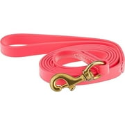 J&J Dog Supplies Biothane Dog Leash, 3/4" Wide by 6' Long, Pink