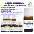 thumbnail image 5 of Aceite Esencial Árbol de Té VIVONATURAL 10 ml Cuidado de la Piel, del Cabello y Repelente de Insectos, 5 of 5
