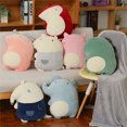 thumbnail image 1 of Fiudx Liquidación De Ahorros De Verano Cojín Manta Almohada Mantas Multifunción Peluches, 1 of 3