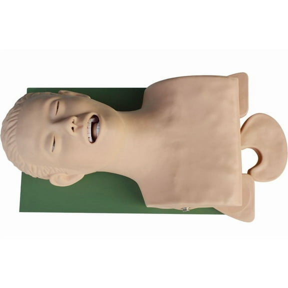INTBUYING Airway Management Trainer Tracheal Intubation Training Simulator Model Teaching Study Model Manikin 220V