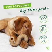 Benebone Tripe Bone Durable Dog Chew Toy for Aggressive Chewers, Real Tripe, Medium