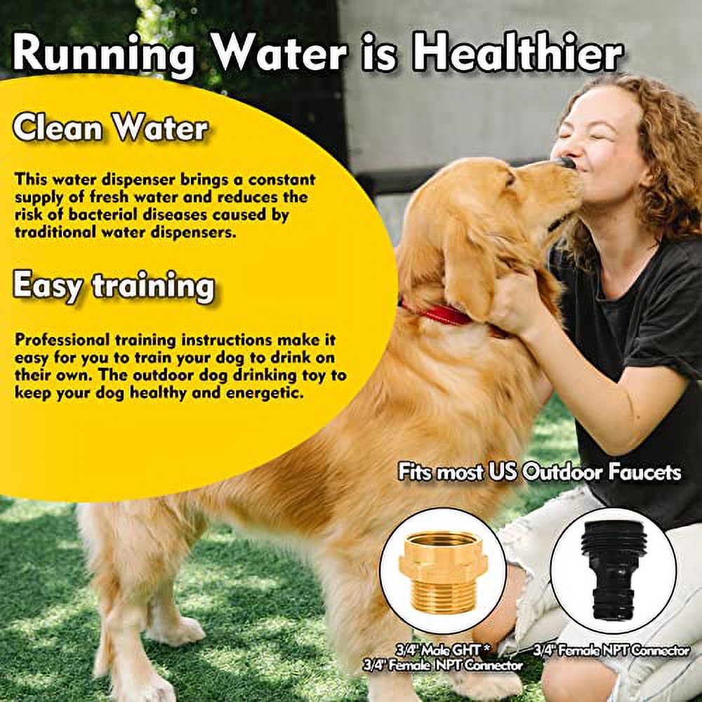 Paw Activated Water Fountain, Includes 304 Stainless Steel Dog Hose