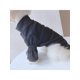 thumbnail image 1 of 1pc Pet Clothes Spring & Autumn Lace Long Sleeve Dog T-Shirt, For Pets Only, 1 of 3