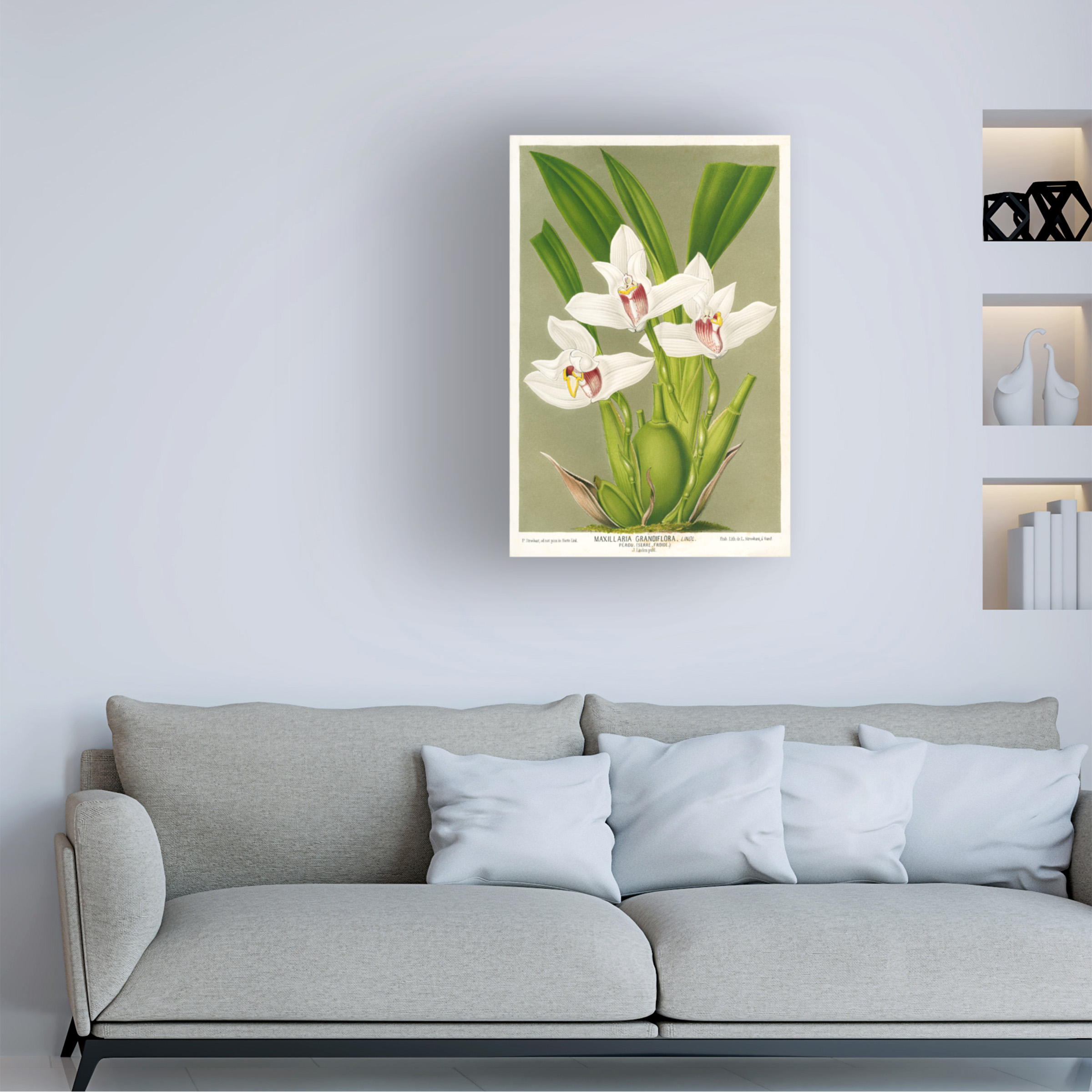 Trademark Fine Art Print Collection Maxillaria Orchid Canvas Wall Art - 30x47