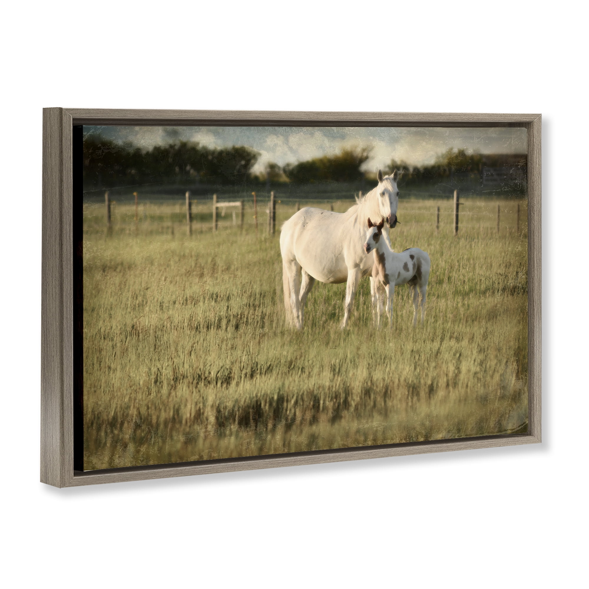 Stupell Industries Rural Horse and Foal Landscape Photography Brown Floater Framed Canvas Art Print Wall Art, 31 x 21