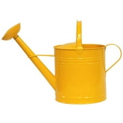 HOUSTON INTERNATIONAL TRADING  8592E SAFF 8592E SAFF Enameled Galvanized Steel watering can 2.5 Gal.