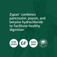 standard process zypan supports healthy digestion and