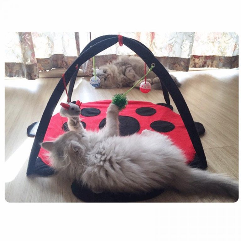 Cat Activity Center Mat Tent With Hanging Toys