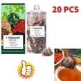 thumbnail image 1 of Té de Ginseng Siete Tesoros, 20 bolsitas de té de hierbas saludables, té para mujeres y hombres^ NUEVO Mejor, 1 of 7