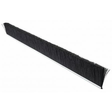 

Tanis Strip Brush 36 In L Overall Trim 3 In MB250636
