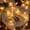 Dragonfly, variant on Dragonfly String Lights, 3M 20Led Warm White Dragonfly Copper Wire Fairy Decorative Lights Battery Powered for Bedroom Summer Garden Landscape Wedding Party Christmas Lighting Decoration
