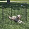 thumbnail image 2 of Midwest Black Exercise Pen 8 Panels No Door, 2 of 6