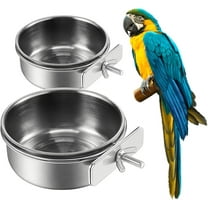 2PCS Bird Feeding Dish Cups Spoon Parrot Food Bowl Clamp Holder Stainless Steel Coop Cup Cage Water Parakeet African Greys Conure Cockatiels