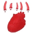 thumbnail image 2 of 6pcs in 1 Set Scary Halloween Organ Fast Food Box Realistic Body Part Heart Eyeball Shape Decoration Tool Atmosphere Layout Decoration Props (1pc Heart  5pcs Finger  with A Case), 2 of 4