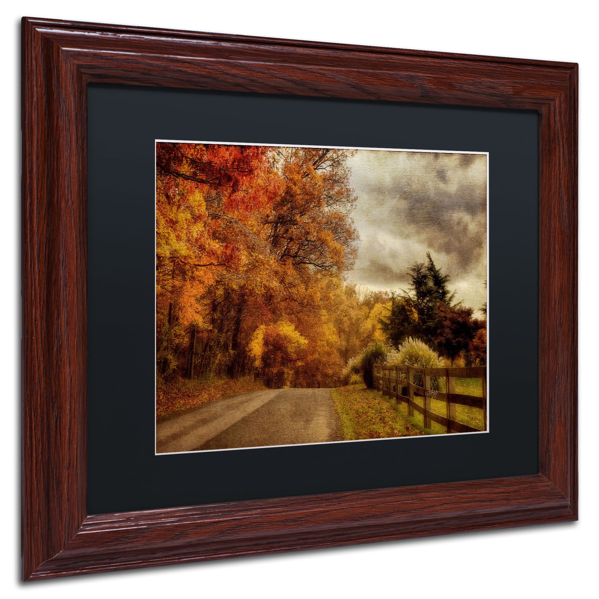 Trademark Fine Art "And the Seasons They Go Round and Round" Canvas Art by Lois Bryan, Black Mat, Wood Frame