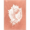 thumbnail image 2 of Vision Studio 19x24 White Modern Wood Framed Museum Art Print Titled - Sealife on Coral VI, 2 of 4