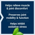 Life Extension MSM, 1000 mg, methylsulfonylmethane, supports healthy joints, helps relieve