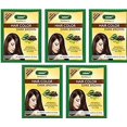 thumbnail image 2 of BAKSON'S SUNNY (Lot de 5) Coloration Capillaire à Base d'Herbes Brun Foncé - 20 g, 2 of 2