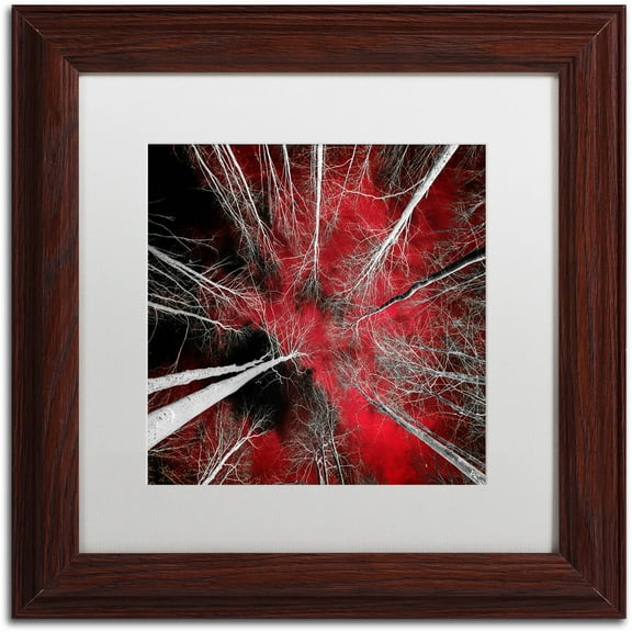 Trademark Fine Art "I Can't Believe It" Canvas Art by Philippe Sainte-Laudy White Matte, Wood Frame