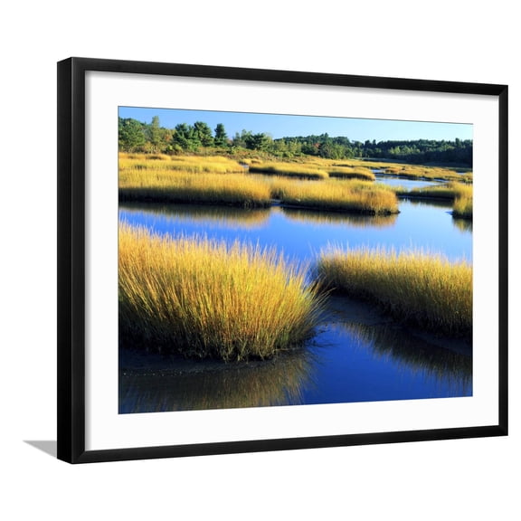 Art.com Salt Marsh at Sunrise, Estuary of New Meadow River in Early Autumn, Maine, Usa Photographic Print by Scott T^ Smith, Black Frame Wall Art, 29" x 23"