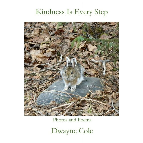 Kindness Is Every Step, (Paperback)