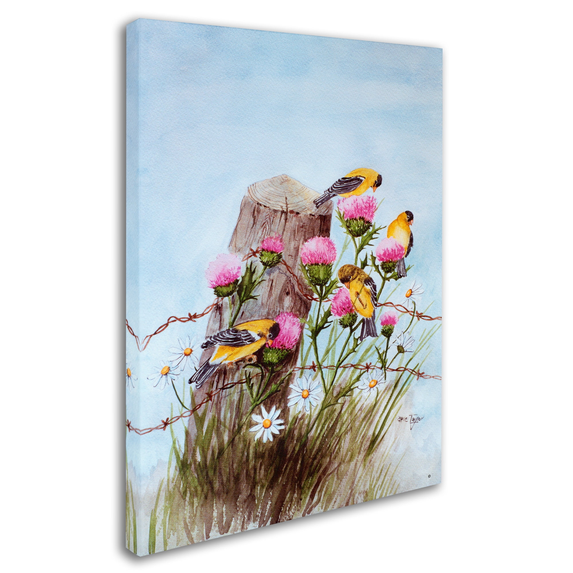 Trademark Fine Art 18 x 24 Canvas Art ' Goldfinch ' by Arie Reinhardt Taylor