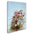 thumbnail image 2 of Trademark Fine Art 'American Goldfinch' Canvas Art by Arie Reinhardt Taylor, 2 of 3