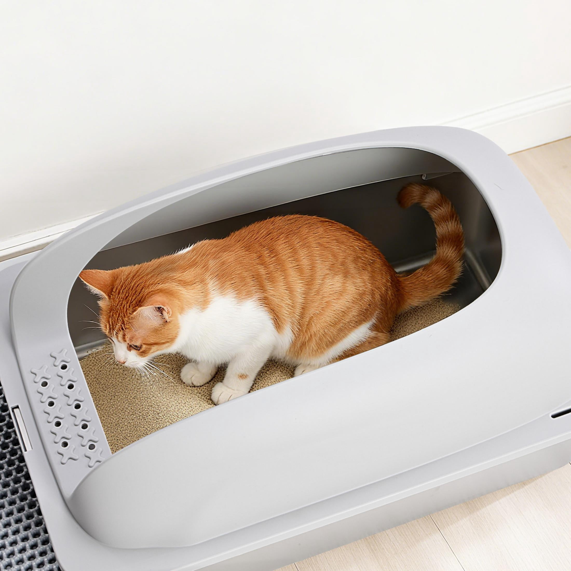EDX Stainless Steel Cat Litter Box with Lid, XL Extra Large Cat Litter Box for Big Cats, High Wall Sides, Never Absorbs Odors, Anti-Urine Leakage, Easy Cleaning, Scoop and Mat Included, Light Grey