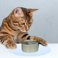 thumbnail image 4 of FUEENIRVA 1Set Cat Feeding Pad Blue Silicone Waterproof for Pet Owners, 4 of 8