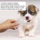 thumbnail image 4 of Botella de lactancia para mascotas, 6 uds., 50ml, Animal PEQUEÑO/gatos/perros/cachorros/gatitos, 4 of 5