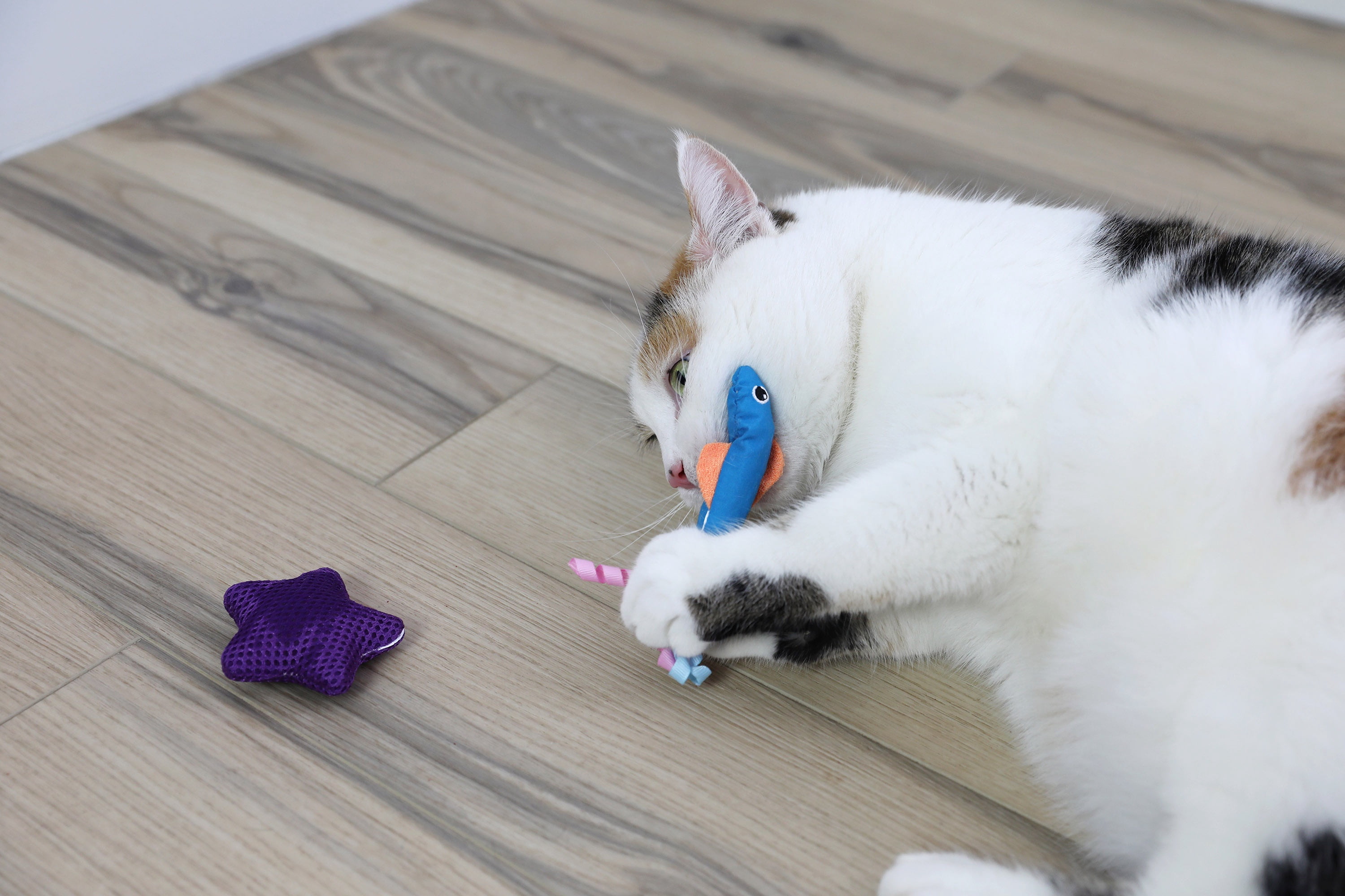 Quirky Kitty Ocean Cool Fish Bowl Bat and Chase Catnip Cat Toy, Pack of 8