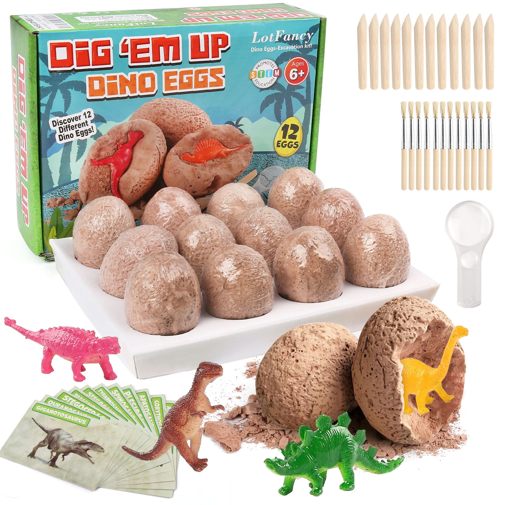 MindWare Dig It up 12 Clay Dinosaur Eggs With Excavation Guide for sale online 