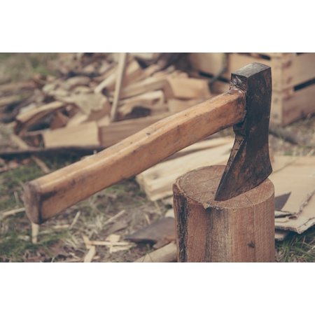 Canvas Print Axe Outdoors Cut Forest Tree Wood Tool Man Work Stretched Canvas 10 x