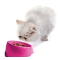 thumbnail image 2 of Cat Food Bowl Feeding Flat-Faced Adult Cats Persian British Slanted Pink, 2 of 6