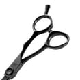 thumbnail image 6 of JW CF1 Shear  Blending Kit, 6 of 7