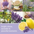 thumbnail image 3 of Fragrance Refill Yankee Candle ScentPlug Lemon Lavender 6-Pack, 3 of 8