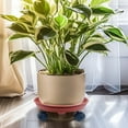 thumbnail image 6 of Plant Saucer under $5! CQCYD Flower Pot Tray with Rollers Mobile Drip Pan for Large Pots, Thickened Plastic Plant Caddy with Reservoir for Indoor Outdoor Garden, 6 of 6