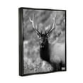 thumbnail image 4 of Stupell Industries Grey Elk Photography Animals & Insects Photography Black Floater Framed Canvas Art Print Wall Art, 25 x 31, 4 of 10