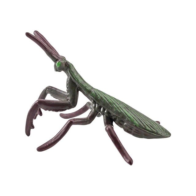 EGNMCR Summer Simulation Insect Model Children's Science And Education Toys Dinosaur figure Birthday Gifts for Kids