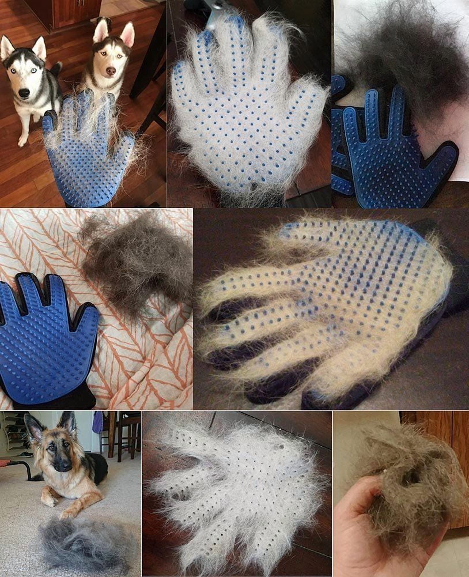 VeniCare Pet Grooming Gloves Blue, 1 Pair photo 4