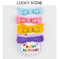thumbnail image 2 of Babero de decoración de sombrero de cumpleaños para mascotas, toalla de Saliva, babero de gato, accesorios de atmósfera, S01563, 2 of 4