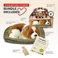 thumbnail image 2 of Perfecto Petzzz Original Perfect Petzzz Cavalier King Charles Peluche Interactivo, 2 of 2