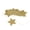 Gold, variant on YAHHU Hanging Stars Decoration for Weddings Parties Children's Rooms Mosquito Nets Wall Window Gold, 5.5 inches / 14 cm