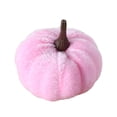 thumbnail image 2 of OCCOKO Halloween Pumpkin Decor, Soft Stuffed Pumpkin Ornament for Thanksgiving Fall Party Decorations, Decorative Pumpkin for Home, Bedroom, Tabletop, Shelf, Porch and Holiday Gift, Pink, 2 of 7