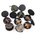 thumbnail image 2 of Figuras animales YONGSHENG modelo de estatua de fauna 2inch 8 PC, 2 of 5